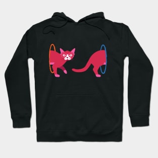 Portal Cat Hoodie